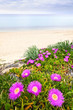 Photo: Aegean sea coast in Greece Aegean sea coast in Greece