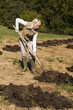 Photo: Gardening Gardening