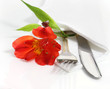 Decorative table setting with flower