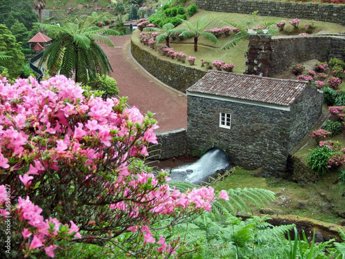Foto: idyllic park at Sao Miguel Island idyllic park at Sao Miguel Island
