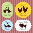Farm chickens egg and meat labels illustration collection