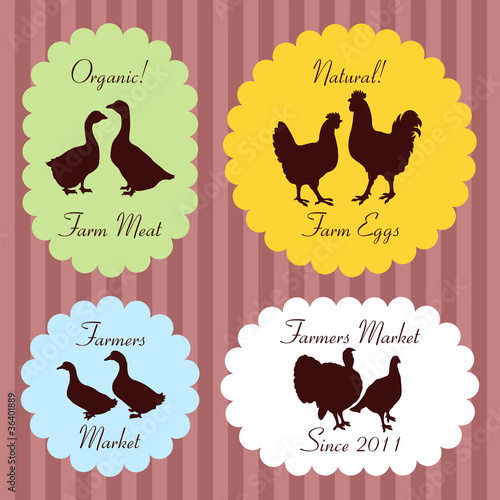 Vector: Farm chickens egg and meat labels illustration collection Farm chickens egg and meat labels illustration collection