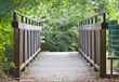 Natur Brücke Natur Brücke