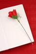 Romantic Reading