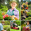 Gardening