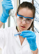 Scientist loads pcr samples