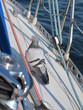pigeon au repos sur bateau pigeon au repos sur bateau