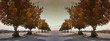 Road in autumn
