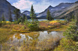 Turquoise lake and orange grass. Turquoise lake and orange grass.