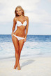 woman in bikini woman in bikini