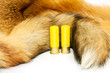 hunting gun cartridges on red fox fur background