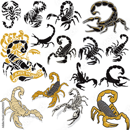 Vetor: Scorpions vector collection Scorpions vector collection