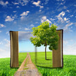 book with green landscape inside book with green landscape inside