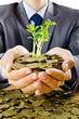 Businessman with gold seedlings and coins Businessman with gold seedlings and coins