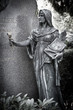 Friedhof05