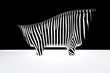 Illustration: bath with zebra stripes bath with zebra stripes