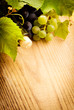 Wine and grape Wine and grape