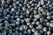Blaubeeren