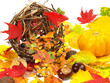Herbstlaub, Kastanien und Kürbis
