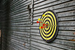 Dartboard on wood wall