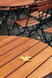 Ahornblatt auf Holztisch