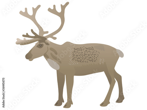 Vektor: Rentier – Reindeer Rentier – Reindeer