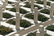 Military cemetery Military cemetery