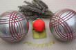 Partie de boules - Pétanque