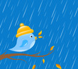 blauer vogel herbst