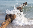 Old wave breaker in Madeira Beach, Florida Old wave breaker in Madeira Beach, Florida