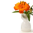 Lilien