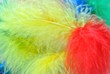Piume colorate