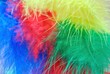 Piume colorate