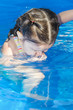 Little Girl Little Girl