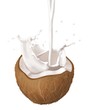 Photo en ligne au meilleur prix latte di cocco