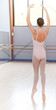 danseuse classique sur pointes danseuse classique sur pointes
