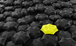 Ilustração: Umbrellas Umbrellas