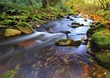 Río Muniellos, Asturias.