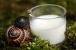 Photo: Milch macht schlau Milch macht schlau