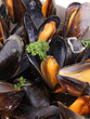 mussels and parsley