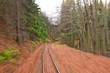Speed
