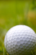 Golfball