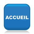 ACCUEIL ICON