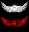 angel and devil wings angel and devil wings