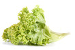 lettuce