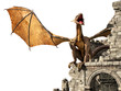 Ilustración: Evil dragon on castle Evil dragon on castle