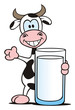 Milk Cow Presenting