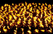 Photo: Candles at Boudhanath temple Candles at Boudhanath temple
