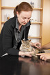 beim Tierarzt - Pfotenuntersuchung Katze