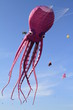 cerf volant poulpe